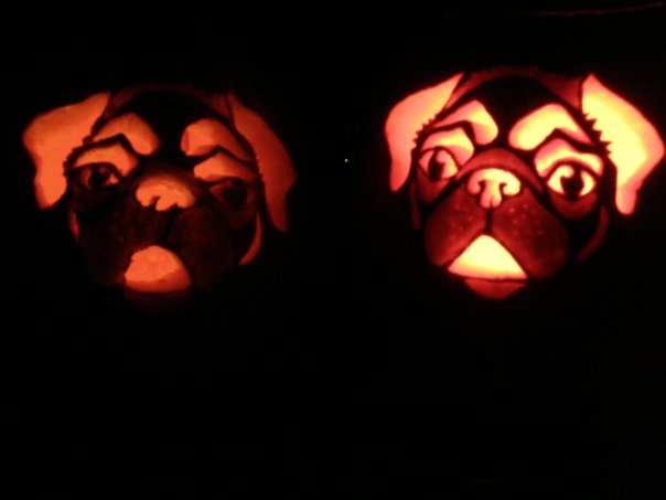 jack-o-pugs