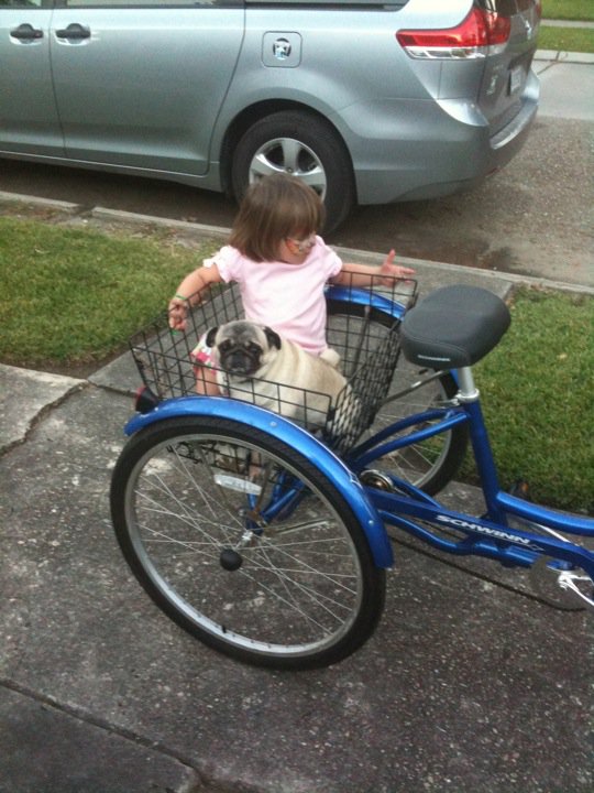 Martine and Oopsy in the Bike Basket